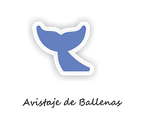Avistaje de Ballenas